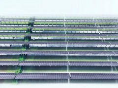 紅太陽說丨一汪碧水“兩本賬”，紅太陽“漁光互補”照亮安徽鄉村振興綠色發展路