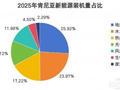 電費(fèi)1.4元/度,肯尼亞光儲(chǔ)市場(chǎng),真的能殺進(jìn)去了?