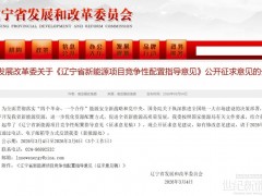遼寧風光項目競配意見：中選企業(yè)未達承諾將取消其“十五五”參選資格，對其項目實施限選、限核、限備