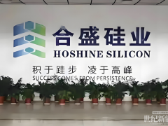 砸270億建廠(chǎng)，三年后產(chǎn)能利用率仍為0！“硅王”腸子悔青