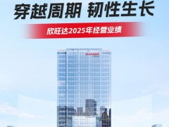 一圖讀懂欣旺達(dá)2025年經(jīng)營(yíng)業(yè)績(jī)